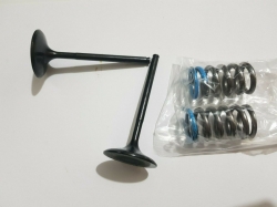 KIT VALVOLE CON MOLLE ASPIRAZIONE PER HONDA CRF 450 2006
