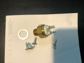 TEMOSTATO ORIGINALE 020.39.013.00.00 020390130000 BETA 