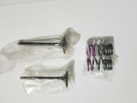 KIT VALVOLE CON MOLLE ASPIRAZIONE PER KXF 250 2009 2010
