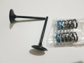 KIT VALVOLE CON MOLLE ASPIRAZIONE PER HONDA CRF 450 200