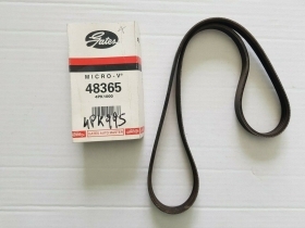 48365 GATES CINGHIA DISTRIBUZIONE RENAULT KANGOO EXPRES