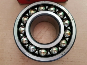 CUSCINETTO AUTOALLINEANTE A DOPPIA CORONA 2313 FAG 65X1