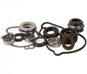 KIT REVISIONE POMPA ACQUA H2O HOT RODS YAMAHA YZ 250 20
