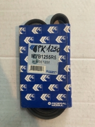 6PK1250 MVB1255R5 CINGHIA SERVIZI FEDERAL MOGUL CHEVROLET CR