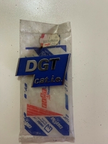 7655846 FREGIO LOGO SCRITTA LATERALE DGT CAT.I.E. FIAT 