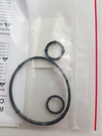 459942 GUARNIZIONI COPERCHIO ORIGINALI CITROEN PEUGEOT 