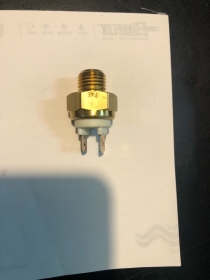 TEMOSTATO ORIGINALE 020.39.013.00.00 020390130000 BETA 