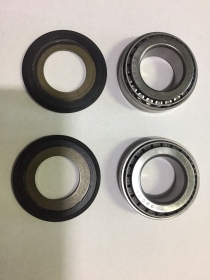 KIT CUSCINETTI STERZO ORIGINALI TM EN MX 125 250 300 19