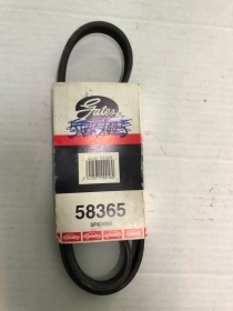 5PK1000 CINGHIA SERVIZI GATES POLY-V MAZDA PORSCHE ROVE