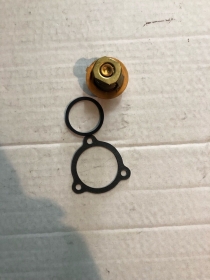 1275.78j TERMOSTATO CALORSTAT VERNET CITROEN PEUGEOT