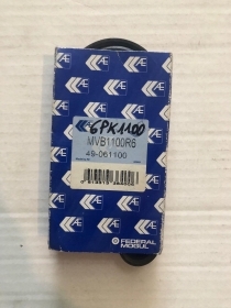 6PK1100 CINGHIA SERVIZI POLY-V FEDERAL MOGUL AUDI A6 AV