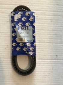 SVB131100 CINGHIA SERVIZI POLY-V FEDERAL MOGUL