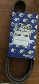 7PK1115 CINGHIA SERVIZI FEDERAL MOGUL OPEL MOVANO CAMBI